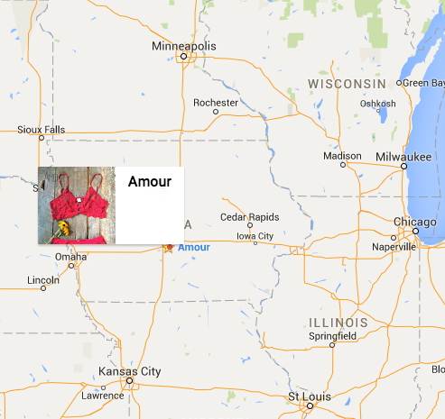 Putting Amour and DSM on the map Putting Amour and DSM on the map